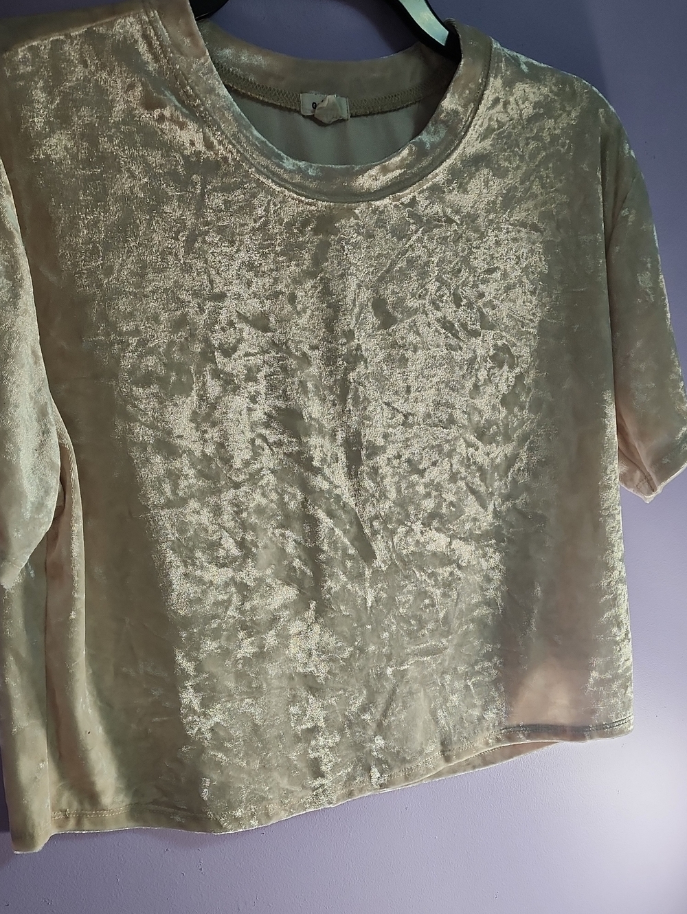 Garage Velvet Tee in Light Sand